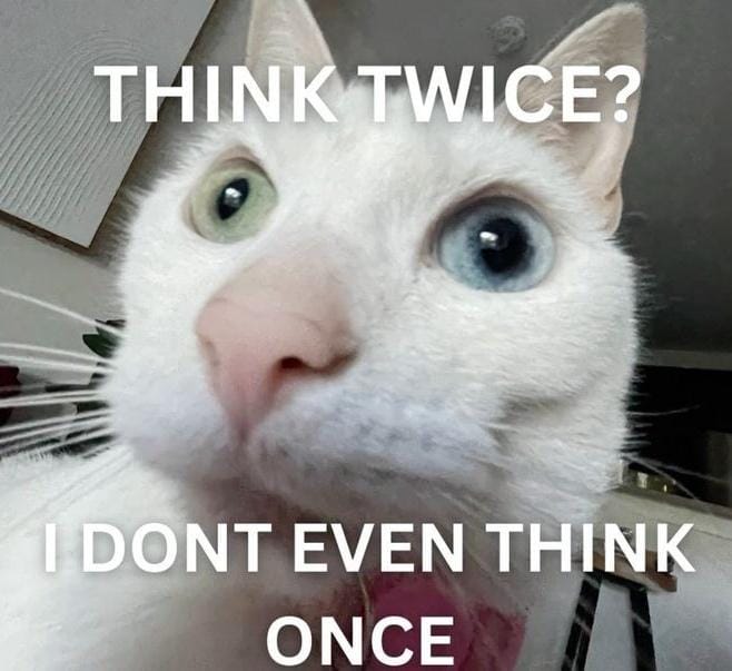 memes8